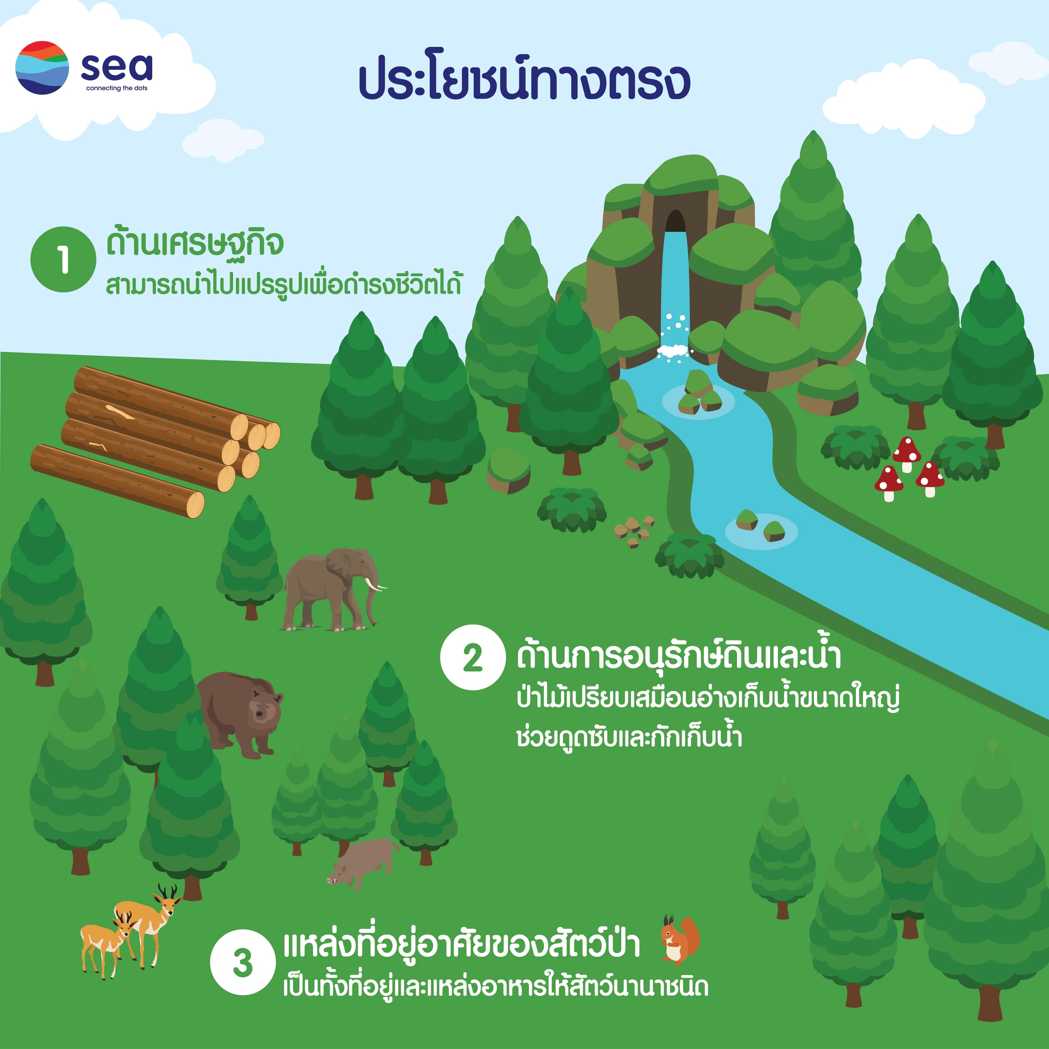 Infographic : ประโยชน์ของป่าไม้ (2)