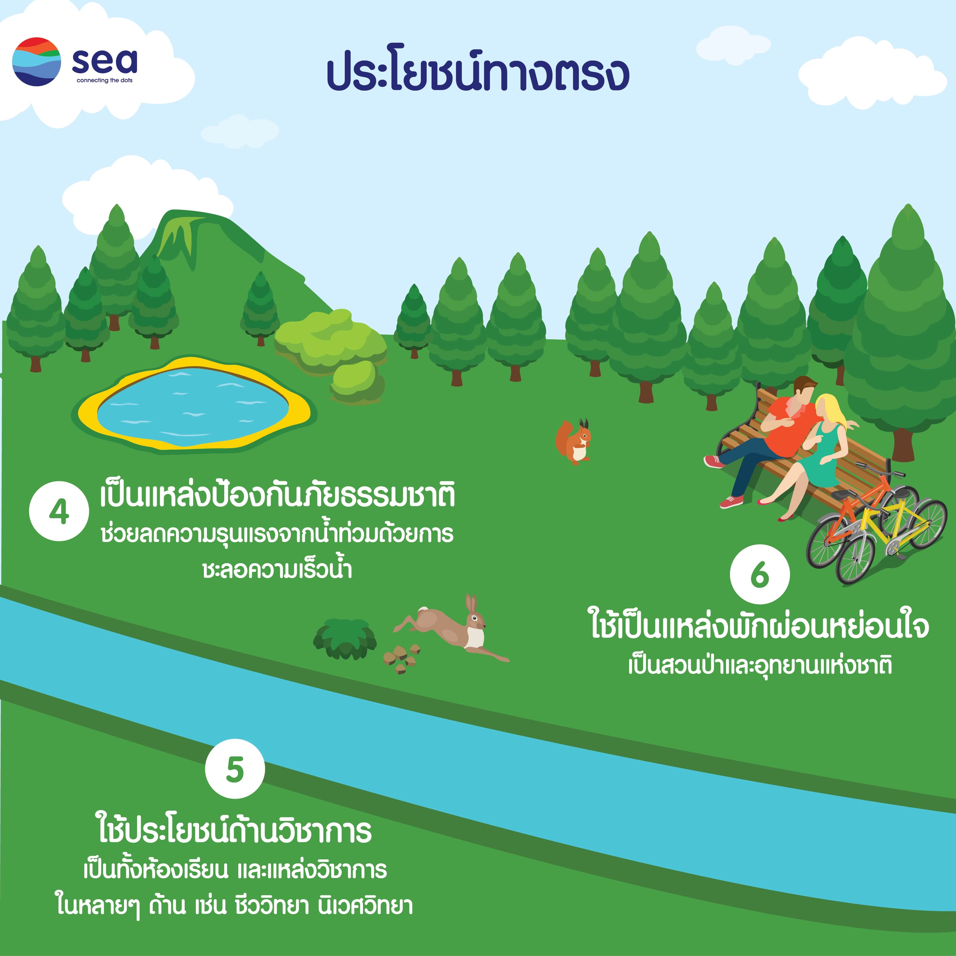 Infographic : ประโยชน์ของป่าไม้ (3)