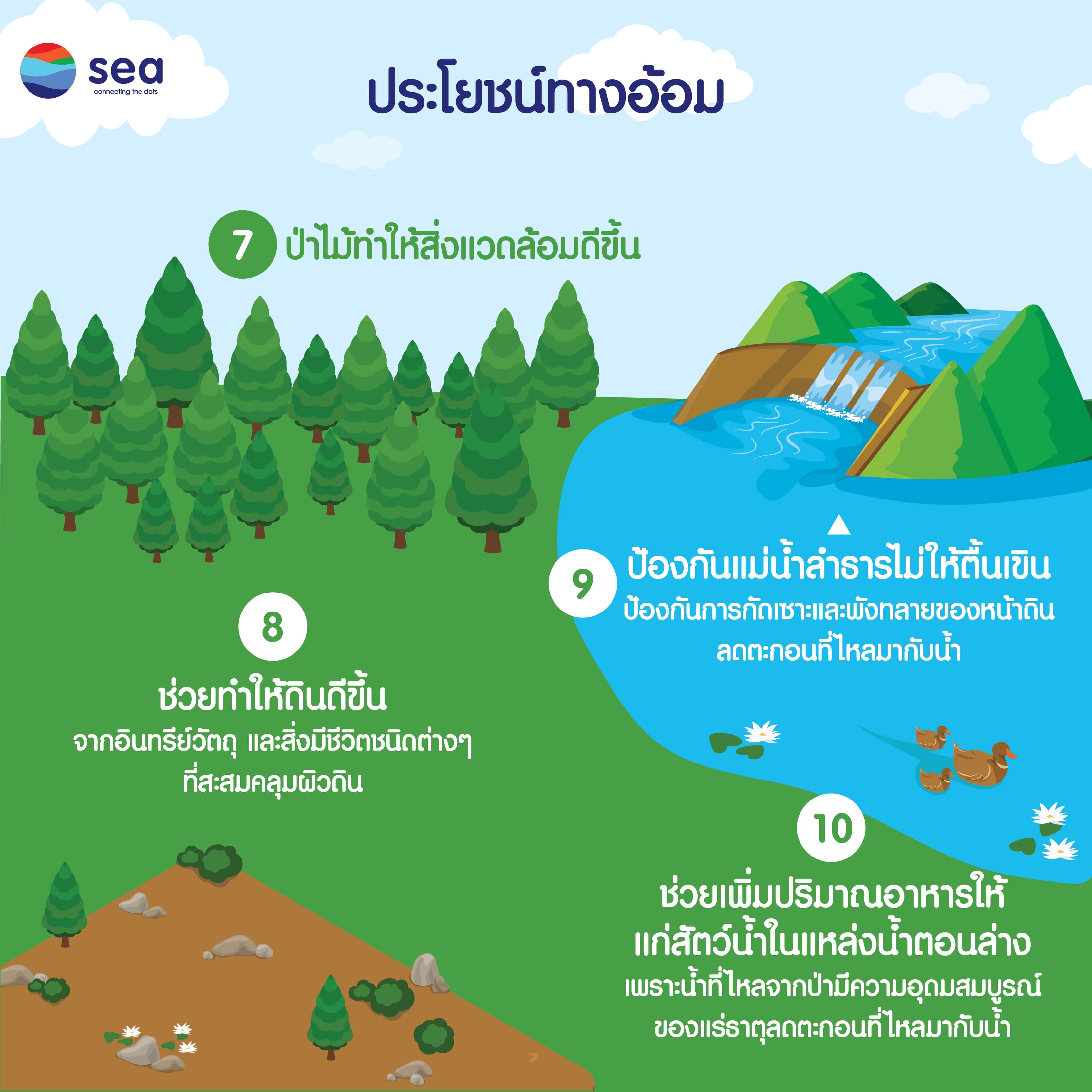 Infographic : ประโยชน์ของป่าไม้ (4)