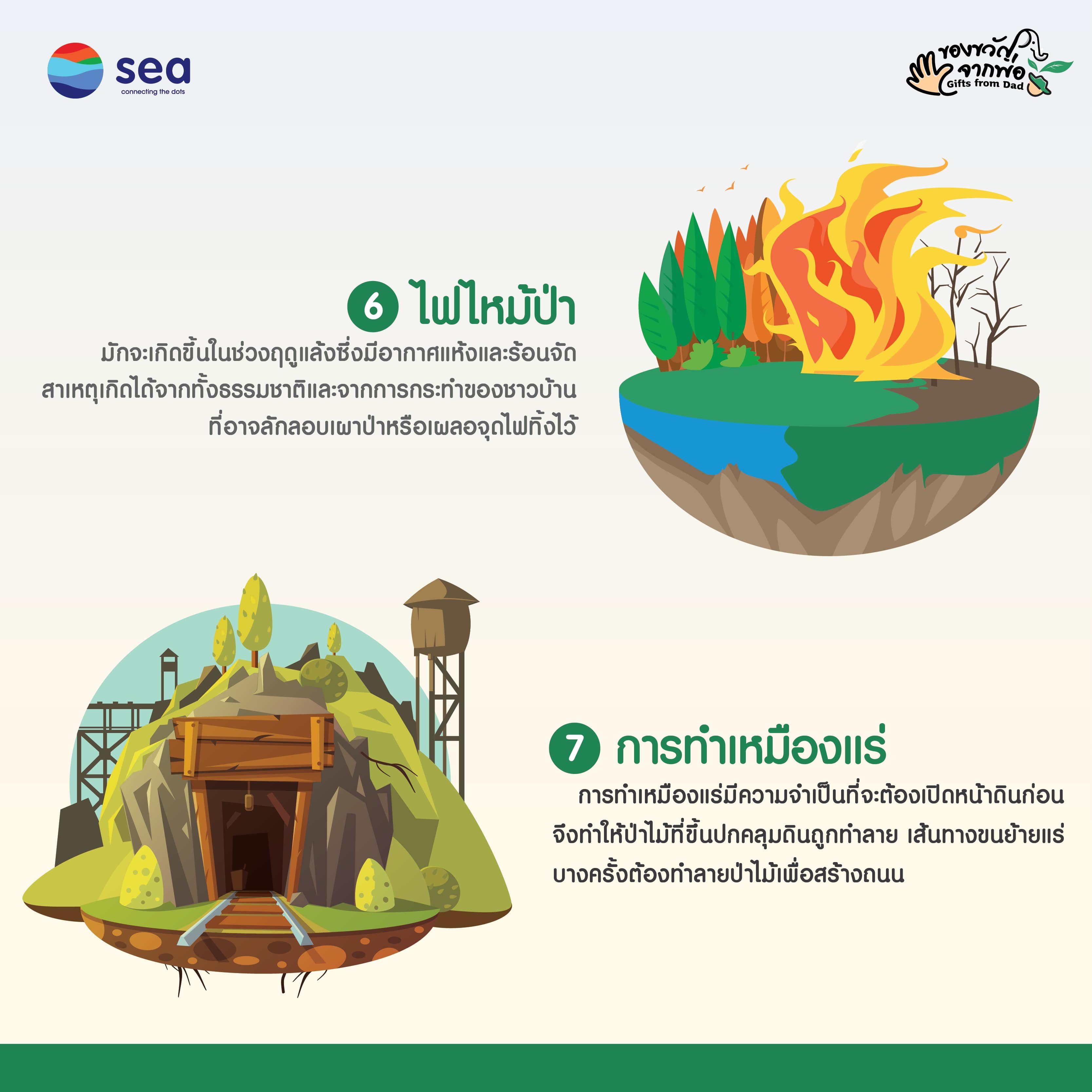 Infographic : วิกฤตกาณ์ป่าไม้ในประเทศไทย (4)