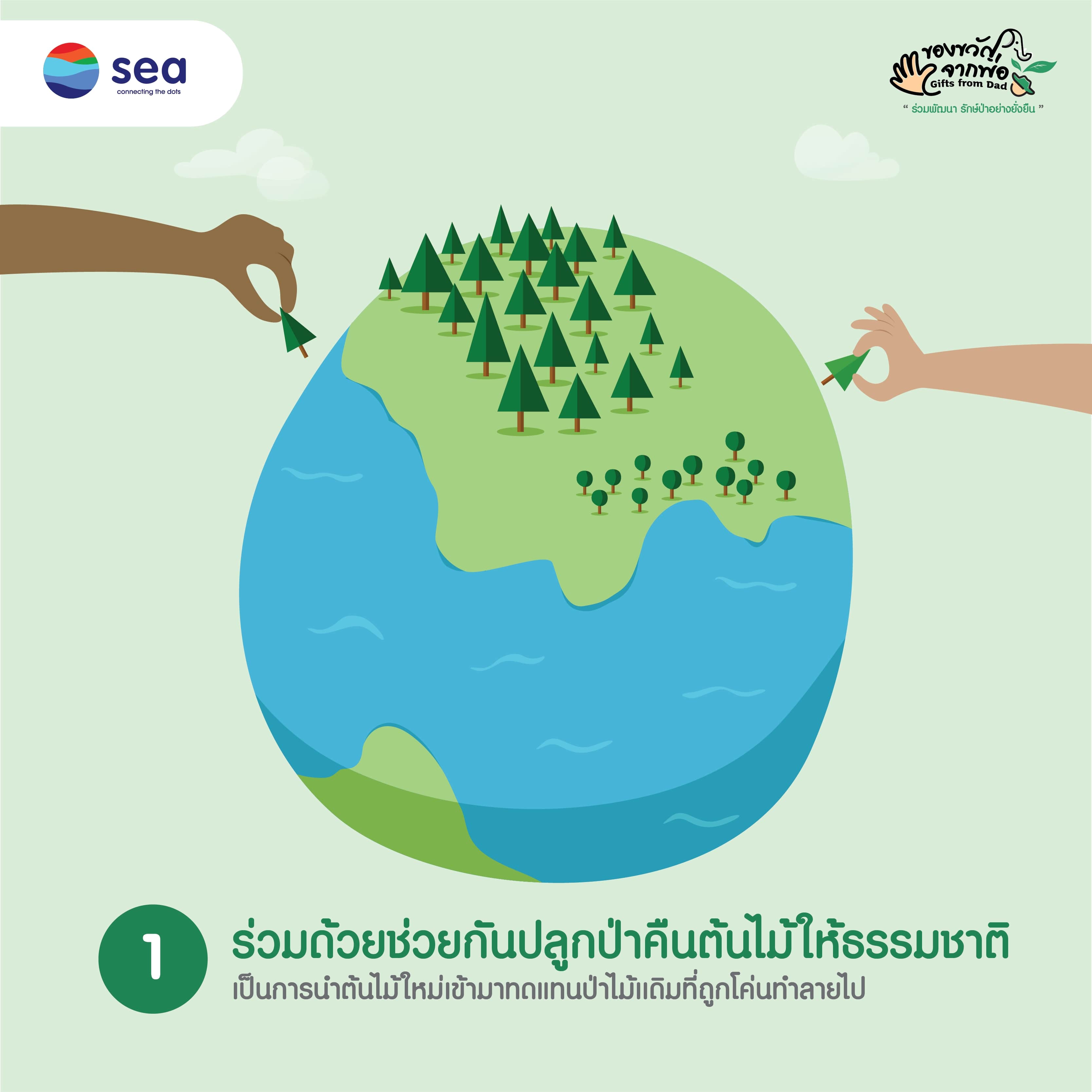 Infographic : การอนุรักษ์ป่าไม้ (2)