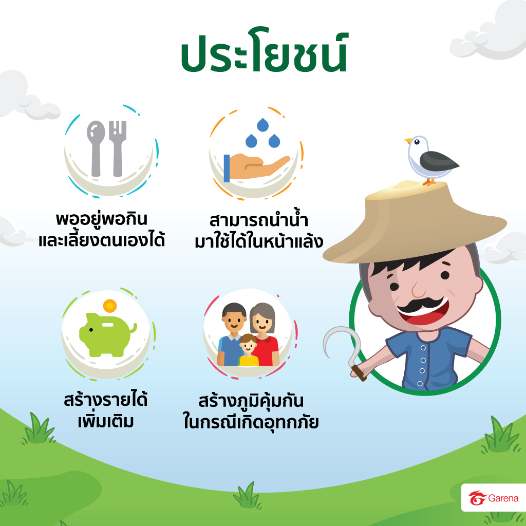infographic: เกษตรทฤษฎีใหม่ (4)