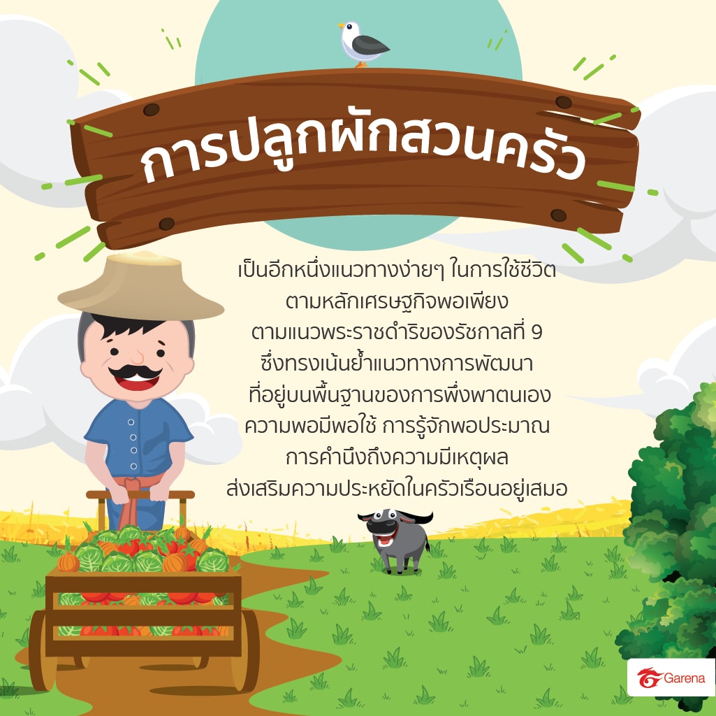 infographic: ผักสวนครัว (8)