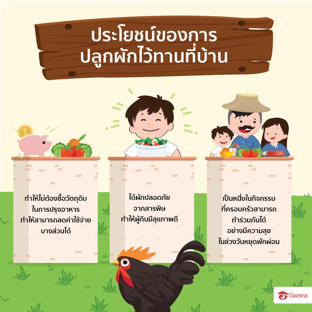infographic: ผักสวนครัว (7)