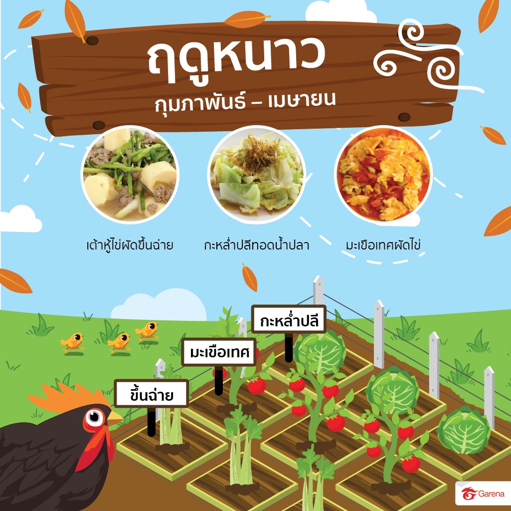 infographic: ผักสวนครัว (2)