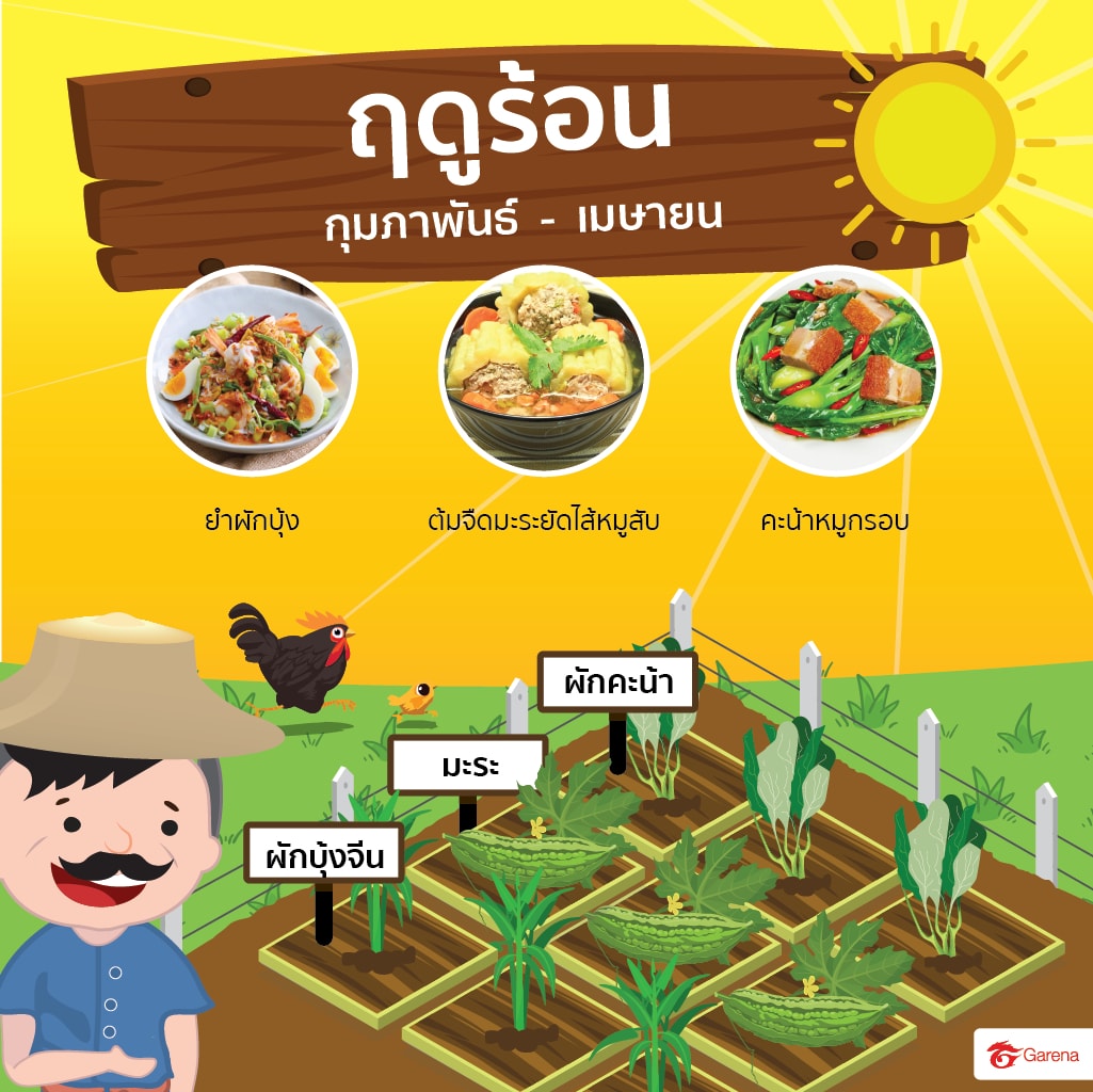 infographic: ผักสวนครัว (5)