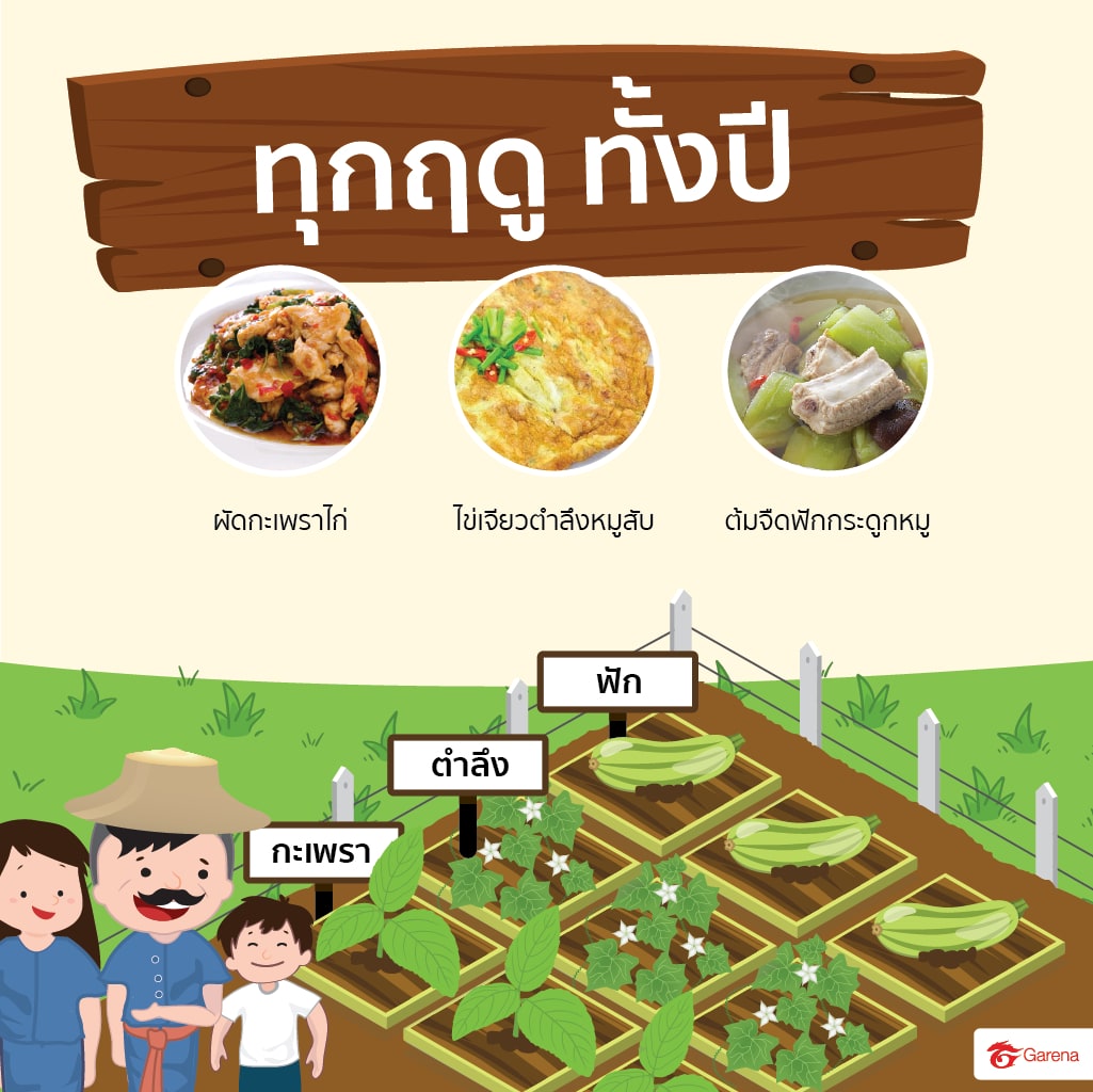 infographic: ผักสวนครัว (1)