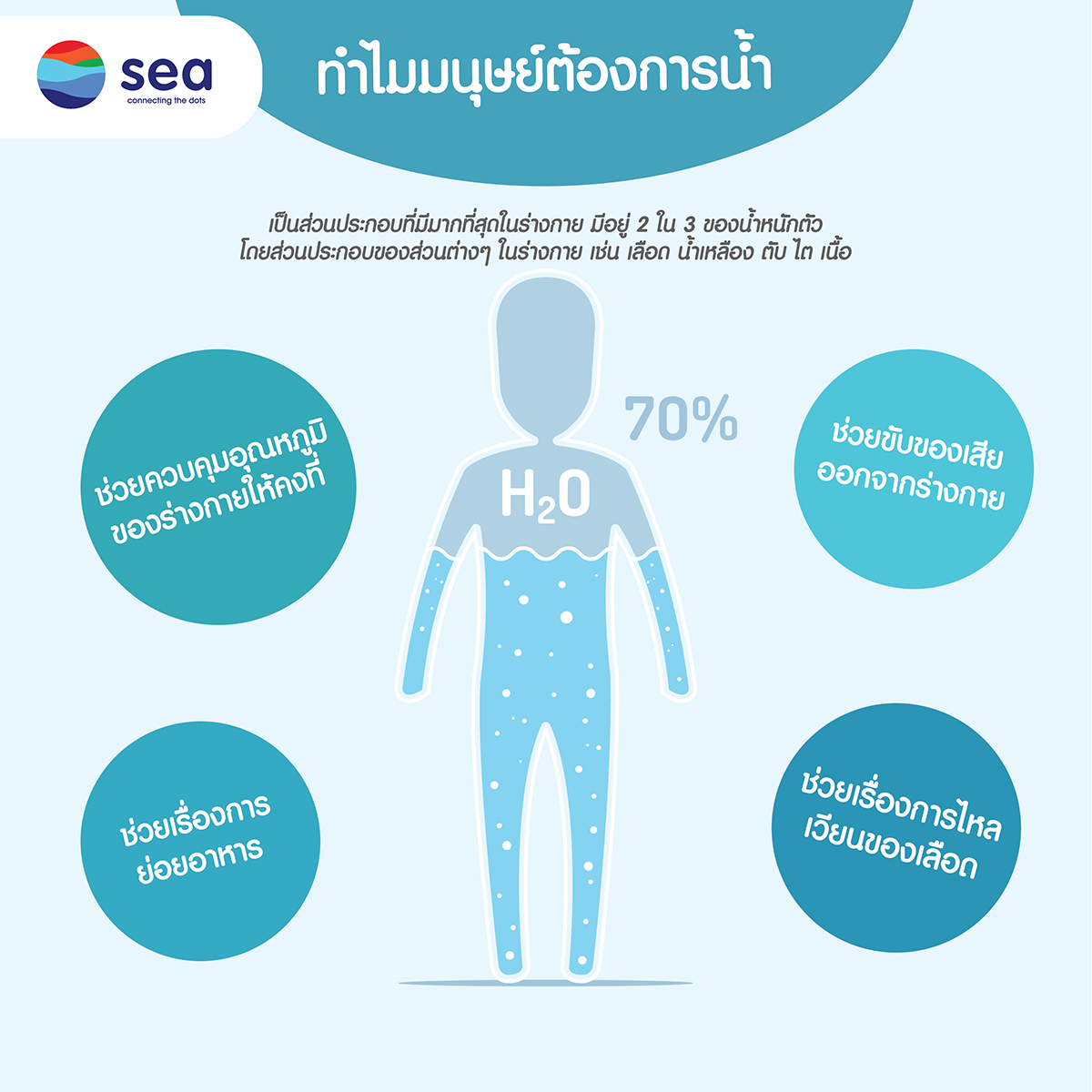 infographic : น้ำคืออะไร สำคัญอย่างไร ทำไมมนุษย์ต้องการน้ำ (4)