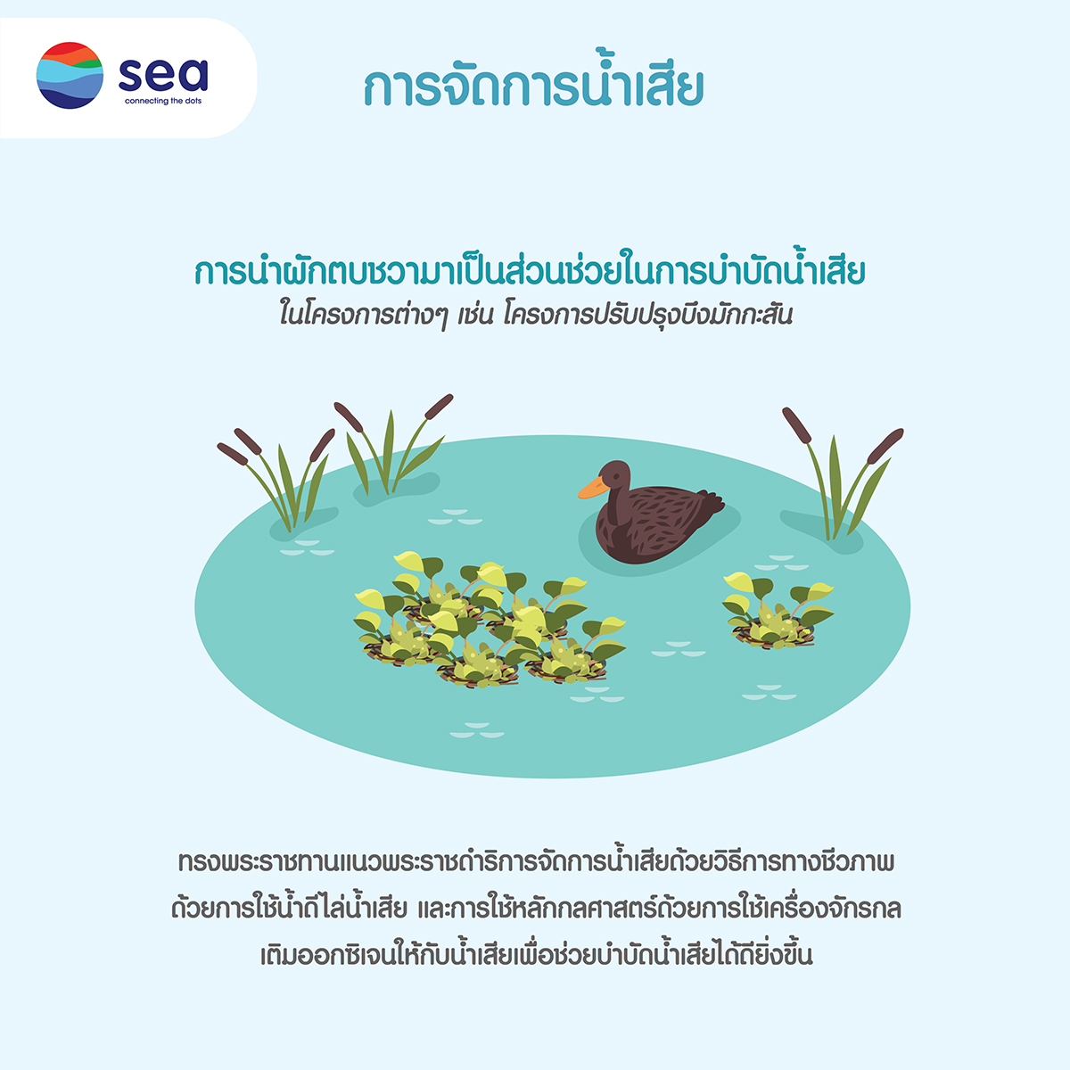 infographic : การบริหารจัดการน้ำคืออะไร  (5)